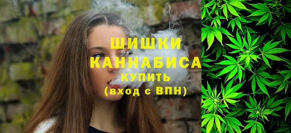 ПСИЛОЦИБИНОВЫЕ ГРИБЫ Баксан