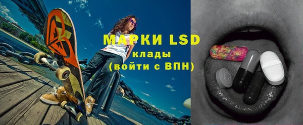 ПСИЛОЦИБИНОВЫЕ ГРИБЫ Баксан