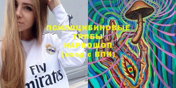 ПСИЛОЦИБИНОВЫЕ ГРИБЫ Баксан