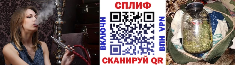 Канабис план Пущино